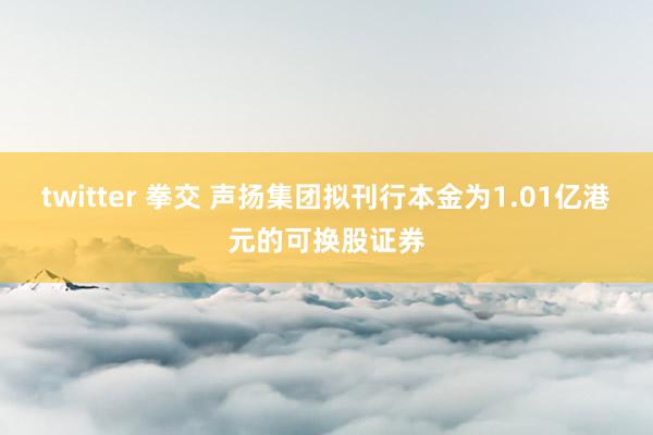 twitter 拳交 声扬集团拟刊行本金为1.01亿港元的可换股证券