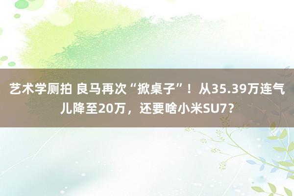 艺术学厕拍 良马再次“掀桌子”!从35.39万连气儿降至20万,还要啥小米SU7?