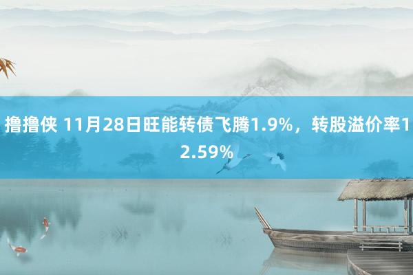 撸撸侠 11月28日旺能转债飞腾1.9%，转股溢价率12.59%