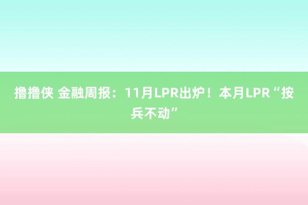撸撸侠 金融周报：11月LPR出炉！本月LPR“按兵不动”