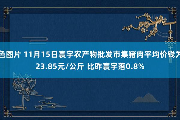 色图片 11月15日寰宇农产物批发市集猪肉平均价钱为23.85元/公斤 比昨寰宇落0.8%