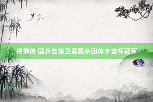撸撸侠 国乒告捷卫冕羼杂团体宇宙杯冠军