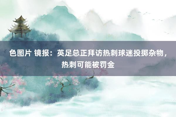 色图片 镜报：英足总正拜访热刺球迷投掷杂物，热刺可能被罚金