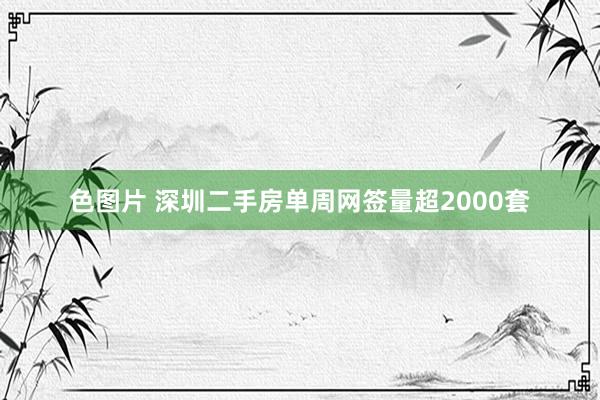 色图片 深圳二手房单周网签量超2000套
