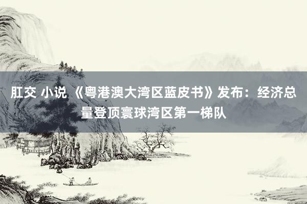 肛交 小说 《粤港澳大湾区蓝皮书》发布：经济总量登顶寰球湾区第一梯队