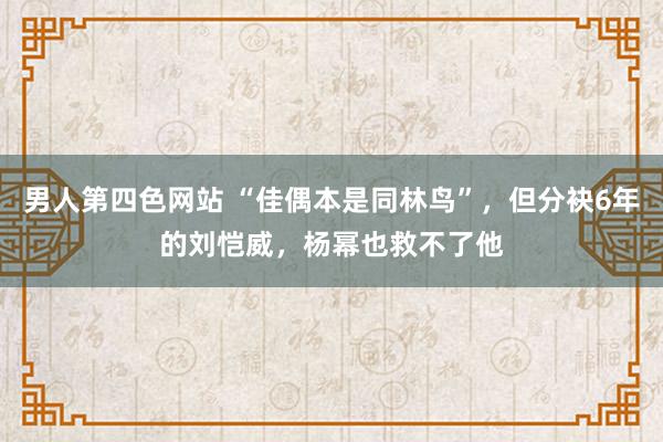男人第四色网站 “佳偶本是同林鸟”，但分袂6年的刘恺威，杨幂也救不了他