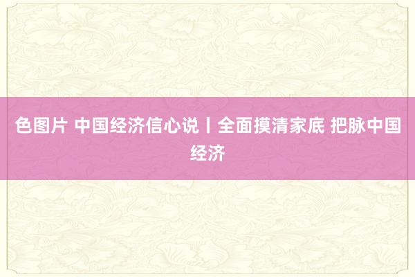 色图片 中国经济信心说丨全面摸清家底 把脉中国经济