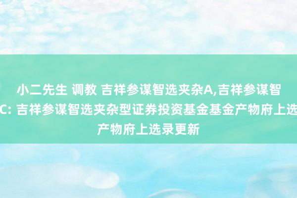 小二先生 调教 吉祥参谋智选夹杂A,吉祥参谋智选夹杂C: 吉祥参谋智选夹杂型证券投资基金基金产物府上选录更新