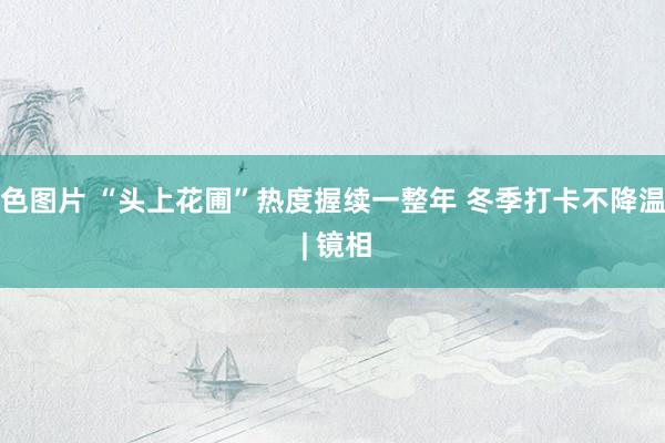 色图片 “头上花圃”热度握续一整年 冬季打卡不降温 | 镜相