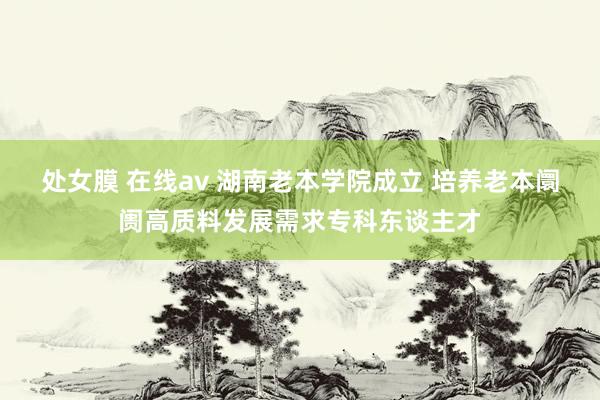处女膜 在线av 湖南老本学院成立 培养老本阛阓高质料发展需求专科东谈主才