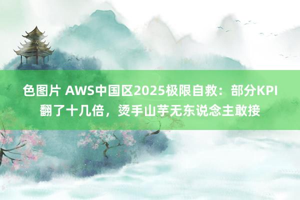 色图片 AWS中国区2025极限自救：部分KPI翻了十几倍，烫手山芋无东说念主敢接