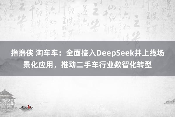撸撸侠 淘车车：全面接入DeepSeek并上线场景化应用，推动二手车行业数智化转型
