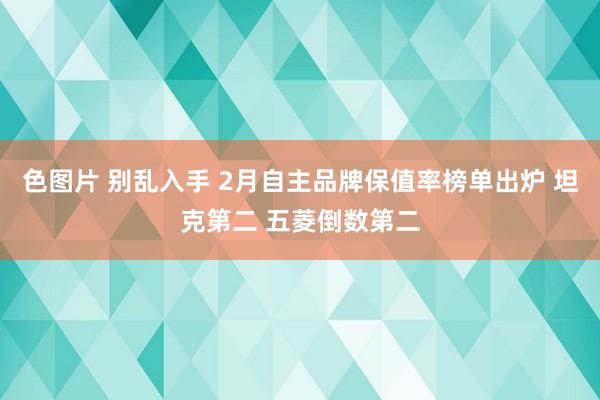 色图片 别乱入手 2月自主品牌保值率榜单出炉 坦克第二 五菱倒数第二