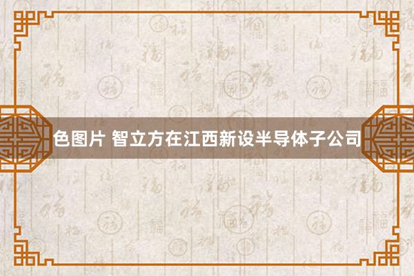 色图片 智立方在江西新设半导体子公司