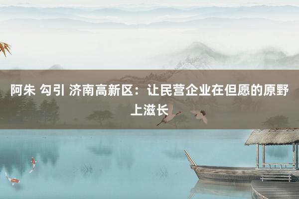 阿朱 勾引 济南高新区：让民营企业在但愿的原野上滋长