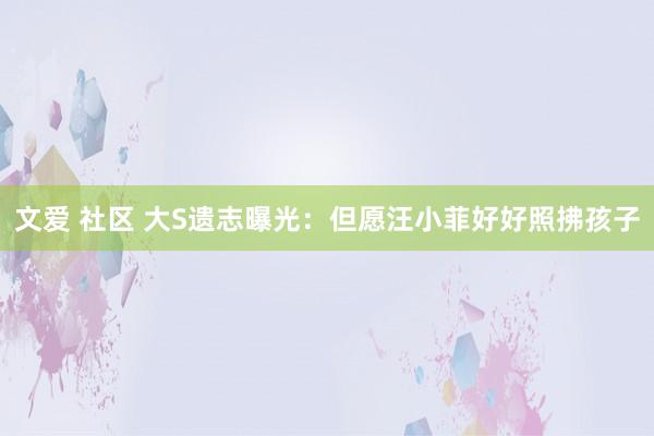 文爱 社区 大S遗志曝光：但愿汪小菲好好照拂孩子