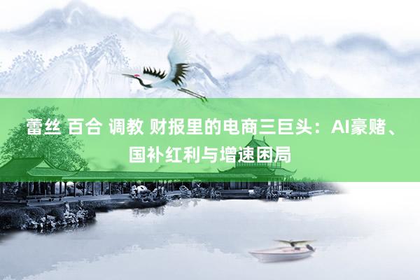蕾丝 百合 调教 财报里的电商三巨头：AI豪赌、国补红利与增速困局