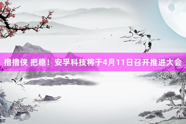 撸撸侠 把稳！安孚科技将于4月11日召开推进大会