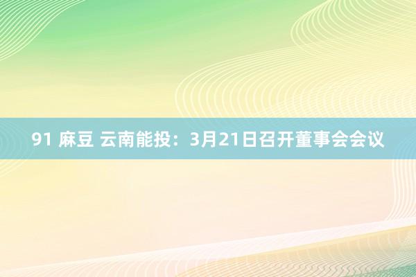 91 麻豆 云南能投：3月21日召开董事会会议