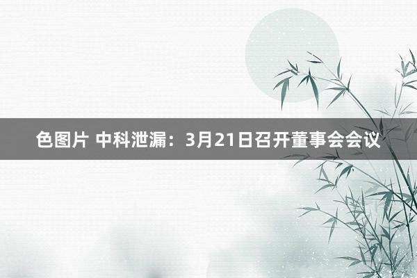 色图片 中科泄漏：3月21日召开董事会会议