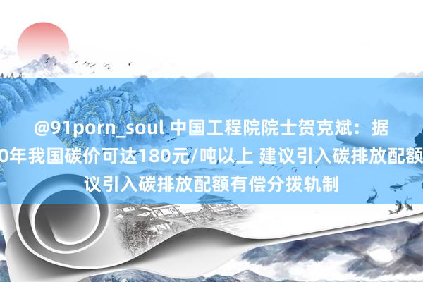 @91porn_soul 中国工程院院士贺克斌：据测算，到2030年我国碳价可达180元/吨以上 建议引入碳排放配额有偿分拨轨制