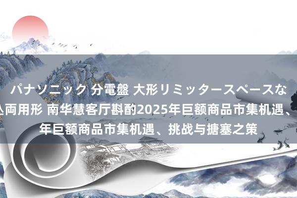 パナソニック 分電盤 大形リミッタースペースなし 露出・半埋込両用形 南华慧客厅斟酌2025年巨额商品市集机遇、挑战与搪塞之策