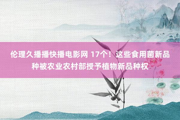 伦理久播播快播电影网 17个！这些食用菌新品种被农业农村部授予植物新品种权