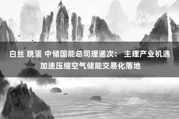 白丝 跳蛋 中储国能总司理递次： 主理产业机遇 加速压缩空气储能交易化落地