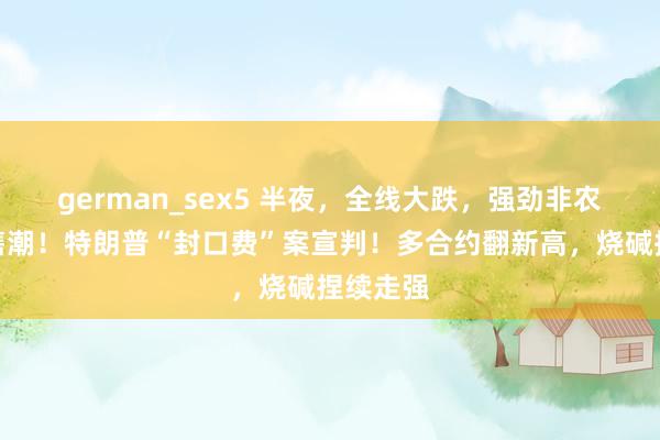 german_sex5 半夜，全线大跌，强劲非农激发抛售潮！特朗普“封口费”案宣判！多合约翻新高，烧碱捏续走强