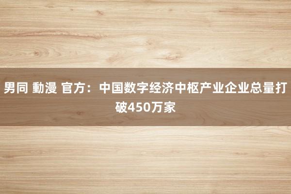 男同 動漫 官方：中国数字经济中枢产业企业总量打破450万家