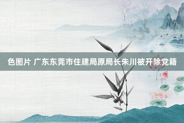 色图片 广东东莞市住建局原局长朱川被开除党籍