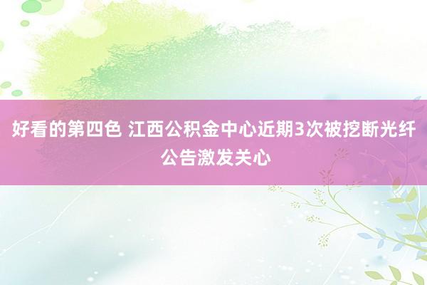 好看的第四色 江西公积金中心近期3次被挖断光纤 公告激发关心