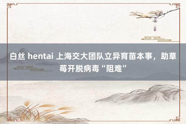 白丝 hentai 上海交大团队立异育苗本事，助草莓开脱病毒“阻难”