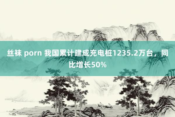 丝袜 porn 我国累计建成充电桩1235.2万台，同比增长50%