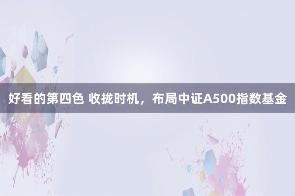 好看的第四色 收拢时机，布局中证A500指数基金