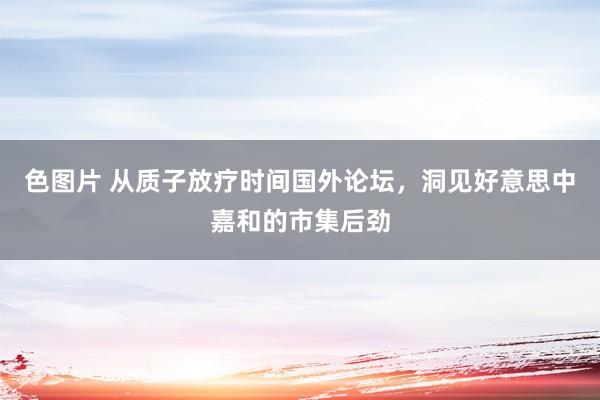 色图片 从质子放疗时间国外论坛，洞见好意思中嘉和的市集后劲