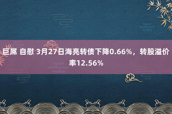 巨屌 自慰 3月27日海亮转债下降0.66%，转股溢价率12.56%