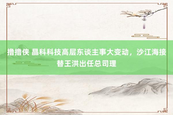 撸撸侠 晶科科技高层东谈主事大变动，沙江海接替王洪出任总司理