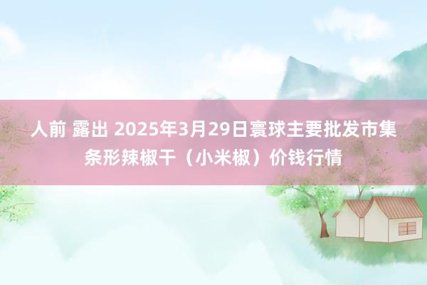 人前 露出 2025年3月29日寰球主要批发市集条形辣椒干（小米椒）价钱行情