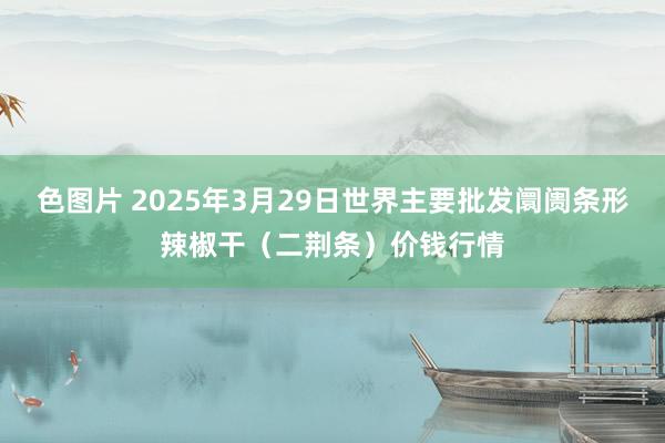 色图片 2025年3月29日世界主要批发阛阓条形辣椒干（二荆条）价钱行情