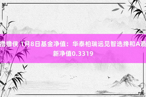 撸撸侠 1月8日基金净值：华泰柏瑞远见智选搀和A最新净值0.3319