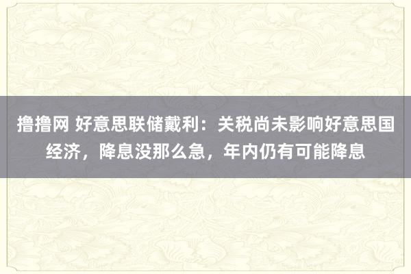 撸撸网 好意思联储戴利：关税尚未影响好意思国经济，降息没那么急，年内仍有可能降息
