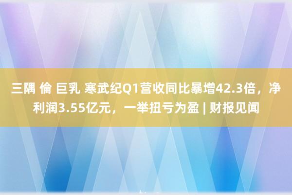 三隅 倫 巨乳 寒武纪Q1营收同比暴增42.3倍，净利润3.55亿元，一举扭亏为盈 | 财报见闻