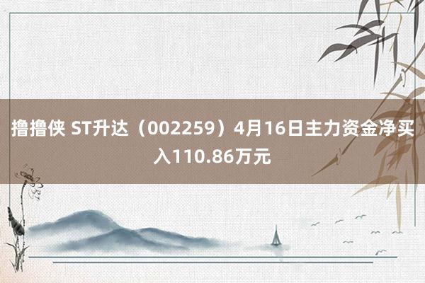撸撸侠 ST升达（002259）4月16日主力资金净买入110.86万元