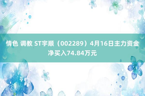 情色 调教 ST宇顺（002289）4月16日主力资金净买入74.84万元