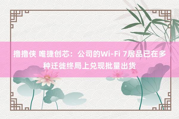 撸撸侠 唯捷创芯：公司的Wi-Fi 7居品已在多种迁徙终局上兑现批量出货
