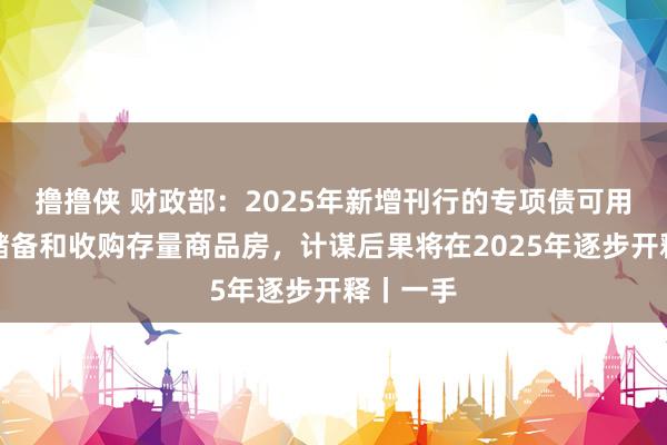 撸撸侠 财政部：2025年新增刊行的专项债可用于地皮储备和收购存量商品房，计谋后果将在2025年逐步开释丨一手