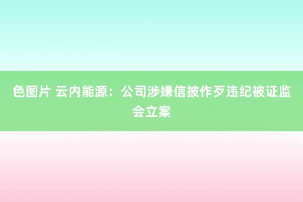 色图片 云内能源：公司涉嫌信披作歹违纪被证监会立案