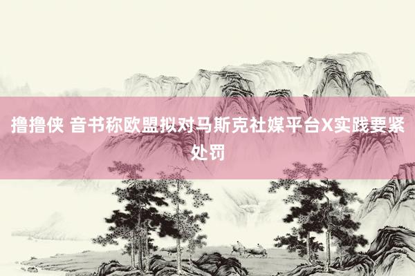 撸撸侠 音书称欧盟拟对马斯克社媒平台X实践要紧处罚