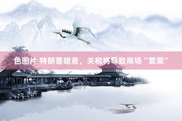 色图片 特朗普暗意，关税将导致商场“繁荣”